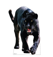 Load image into Gallery viewer, Advanced Graphics Black Jaguar Life Size Cardboard Cutout Standup - Made in USA - AT TEN Distribution
