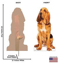Load image into Gallery viewer, Advanced Graphics Bloodhound Life Size Cardboard Cutout Standup - Made in USA - AT TEN Distribution
