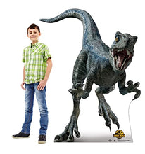 Load image into Gallery viewer, Advanced Graphics Blue Life Size Cardboard Cutout Standup - Jurassic World Dominion (2022 Film) - AT TEN Distribution
