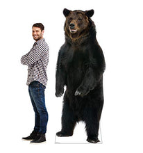 Load image into Gallery viewer, Advanced Graphics Brown Bear Life Size Cardboard Cutout Standup - AT TEN Distribution
