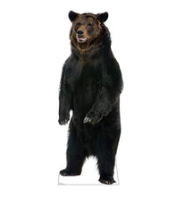 Load image into Gallery viewer, Advanced Graphics Brown Bear Life Size Cardboard Cutout Standup - AT TEN Distribution
