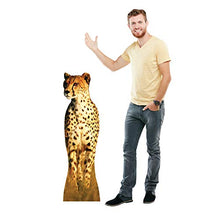 Load image into Gallery viewer, Advanced Graphics Cheetah Life Size Cardboard Cutout Standup - AT TEN Distribution
