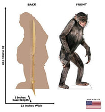 Load image into Gallery viewer, Advanced Graphics Chimpanzee Life Size Cardboard Cutout Standup - AT TEN Distribution
