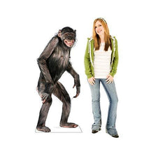 Load image into Gallery viewer, Advanced Graphics Chimpanzee Life Size Cardboard Cutout Standup - AT TEN Distribution

