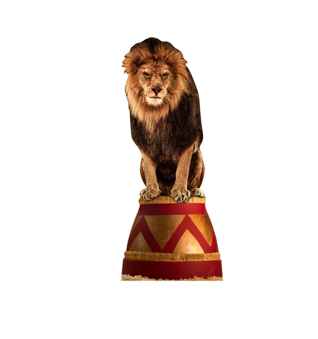 Advanced Graphics Circus Lion Life Size Cardboard Cutout Standup - AT TEN Distribution