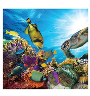 Advanced Graphics Coral Reef Backdrop Life Size Cardboard Cutout Standup - AT TEN Distribution