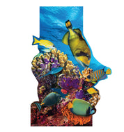 Advanced Graphics Coral Reef Standee Life Size Cardboard Cutout Standup - AT TEN Distribution