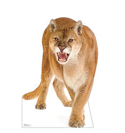 Advanced Graphics Cougar Life Size Cardboard Cutout Standup - Made in USA - AT TEN Distribution