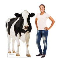 Load image into Gallery viewer, Advanced Graphics Cow Life Size Cardboard Cutout Standup - AT TEN Distribution
