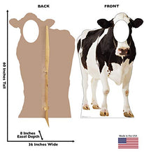 Load image into Gallery viewer, Advanced Graphics Cow Stand - in Life Size Cardboard Cutout Standup - AT TEN Distribution
