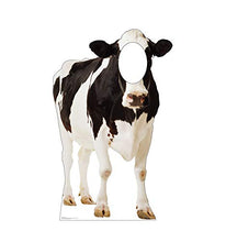 Load image into Gallery viewer, Advanced Graphics Cow Stand - in Life Size Cardboard Cutout Standup - AT TEN Distribution
