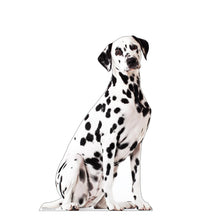 Load image into Gallery viewer, Advanced Graphics Dalmation Dog Life Size Cardboard Cutout Standup - Made in USA - AT TEN Distribution
