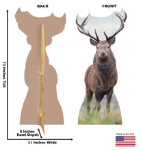 Load image into Gallery viewer, Advanced Graphics Deer Life Size Cardboard Cutout Standup - AT TEN Distribution
