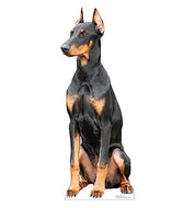Advanced Graphics Doberman Dog Life Size Cardboard Cutout Standup - Made in USA - AT TEN Distribution
