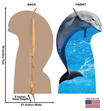 Load image into Gallery viewer, Advanced Graphics Dolphin Life Size Cardboard Cutout Standup - Made in USA - AT TEN Distribution
