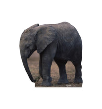 Load image into Gallery viewer, Advanced Graphics Elephant Life Size Cardboard Cutout Standup - AT TEN Distribution
