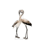 Advanced Graphics Flamingos Life Size Cardboard Cutout Standup - AT TEN Distribution
