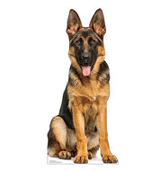 Advanced Graphics German Shepherd Life Size Cardboard Cutout Standup - Made in USA - AT TEN Distribution