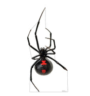 Advanced Graphics Giant Black Widow Spider Life Size Cardboard Cutout Standup - Made in USA - AT TEN Distribution