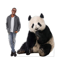Load image into Gallery viewer, Advanced Graphics Giant Panda Life Size Cardboard Cutout Standup - AT TEN Distribution
