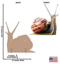 Load image into Gallery viewer, Advanced Graphics Giant Snail Life Size Cardboard Cutout Standup - Made in USA - AT TEN Distribution
