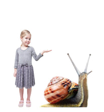 Load image into Gallery viewer, Advanced Graphics Giant Snail Life Size Cardboard Cutout Standup - Made in USA - AT TEN Distribution
