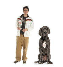Load image into Gallery viewer, Advanced Graphics Great Dane Life Size Cardboard Cutout Standup - Made in USA - AT TEN Distribution
