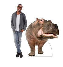 Load image into Gallery viewer, Advanced Graphics Hippopotamus Life Size Cardboard Cutout Standup - AT TEN Distribution
