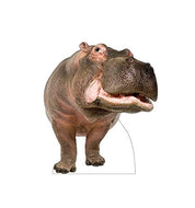 Advanced Graphics Hippopotamus Life Size Cardboard Cutout Standup - AT TEN Distribution