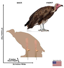Load image into Gallery viewer, Advanced Graphics Hooded Vulture Life Size Cardboard Cutout Standup - Made in USA - AT TEN Distribution
