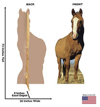 Load image into Gallery viewer, Advanced Graphics Horse Life Size Cardboard Cutout Standup - AT TEN Distribution
