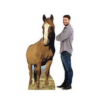 Load image into Gallery viewer, Advanced Graphics Horse Life Size Cardboard Cutout Standup - AT TEN Distribution
