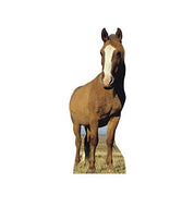 Advanced Graphics Horse Life Size Cardboard Cutout Standup - AT TEN Distribution