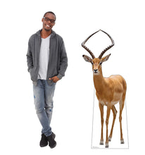 Load image into Gallery viewer, Advanced Graphics Impala Life Size Cardboard Cutout Standup - Made in USA - AT TEN Distribution
