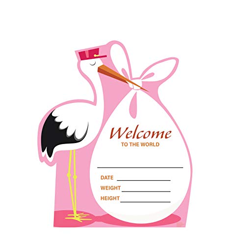 Advanced Graphics It's a Girl Stork Life Size Cardboard Cutout Standup - AT TEN Distribution
