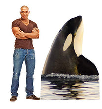 Load image into Gallery viewer, Advanced Graphics Killer Whale Life Size Cardboard Cutout Standup - AT TEN Distribution
