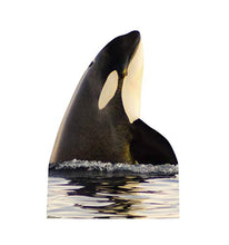 Load image into Gallery viewer, Advanced Graphics Killer Whale Life Size Cardboard Cutout Standup - AT TEN Distribution
