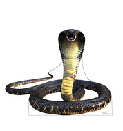 Advanced Graphics King Cobra Snake Life Size Cardboard Cutout Standup - Made in USA - AT TEN Distribution