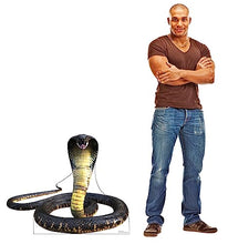 Load image into Gallery viewer, Advanced Graphics King Cobra Snake Life Size Cardboard Cutout Standup - Made in USA - AT TEN Distribution

