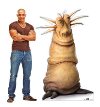 Load image into Gallery viewer, Advanced Graphics Klaud Life Size Cardboard Cutout Standup - Star Wars: Episode IX - The Rise of Skywalker (2019 Film) - AT TEN Distribution
