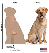 Load image into Gallery viewer, Advanced Graphics Labrador Retriever Life Size Cardboard Cutout Standup - Made in USA - AT TEN Distribution

