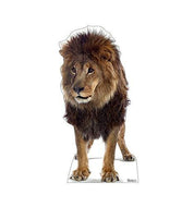 Advanced Graphics Lion Life Size Cardboard Cutout Standup - AT TEN Distribution