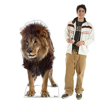 Load image into Gallery viewer, Advanced Graphics Lion Life Size Cardboard Cutout Standup - AT TEN Distribution
