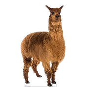 Advanced Graphics Llama Life Size Cardboard Cutout Standup - AT TEN Distribution