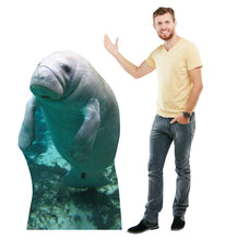 Load image into Gallery viewer, Advanced Graphics Manatee Life Size Cardboard Cutout Standup - Made in USA - AT TEN Distribution
