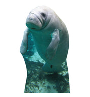 Advanced Graphics Manatee Life Size Cardboard Cutout Standup - Made in USA - AT TEN Distribution