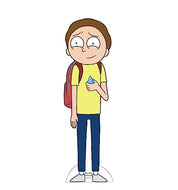 Advanced Graphics Morty Death Crystal Cardboard Cutout Standup - Rick and Morty (TV Series) - AT TEN Distribution