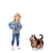 Load image into Gallery viewer, Advanced Graphics Mr. Mittens Life Size Cardboard Cutout Standup - Disney&#39;s Soul (2020 Film) - AT TEN Distribution
