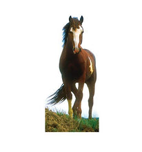 Load image into Gallery viewer, Advanced Graphics Mustang Horse Life Size Cardboard Cutout Standup - AT TEN Distribution
