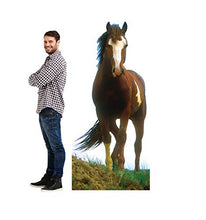 Load image into Gallery viewer, Advanced Graphics Mustang Horse Life Size Cardboard Cutout Standup - AT TEN Distribution
